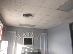 painting a drop ceiling