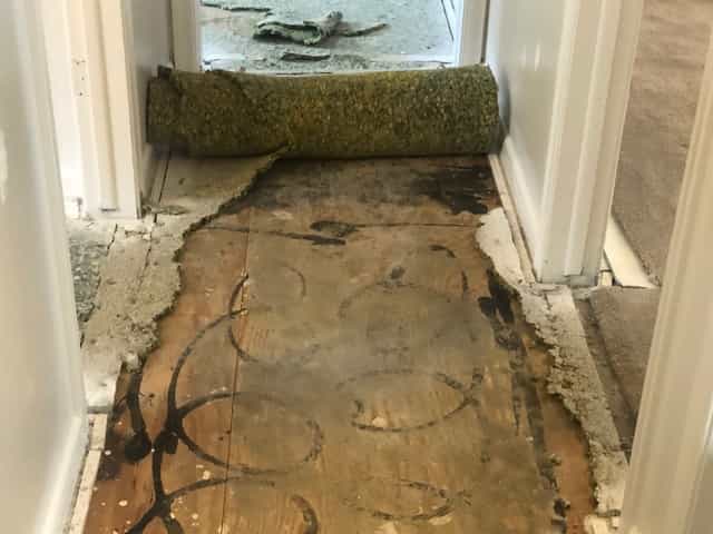 seal coating floors